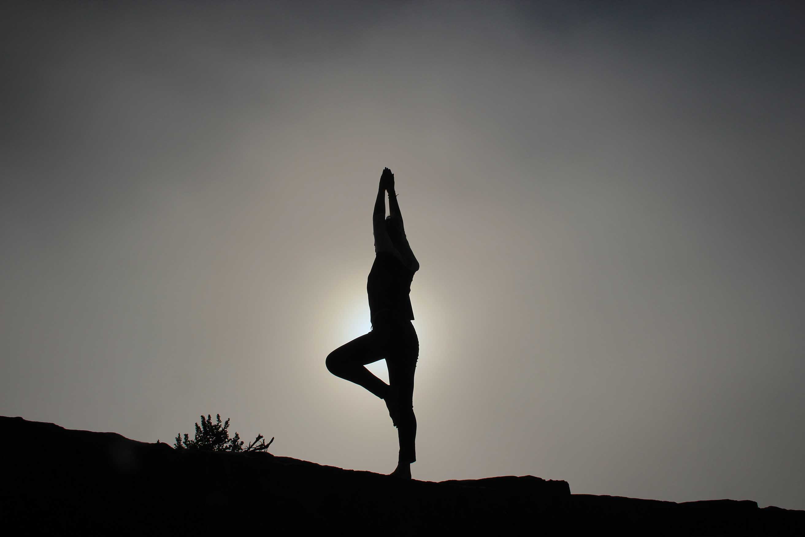 woman in tree pose