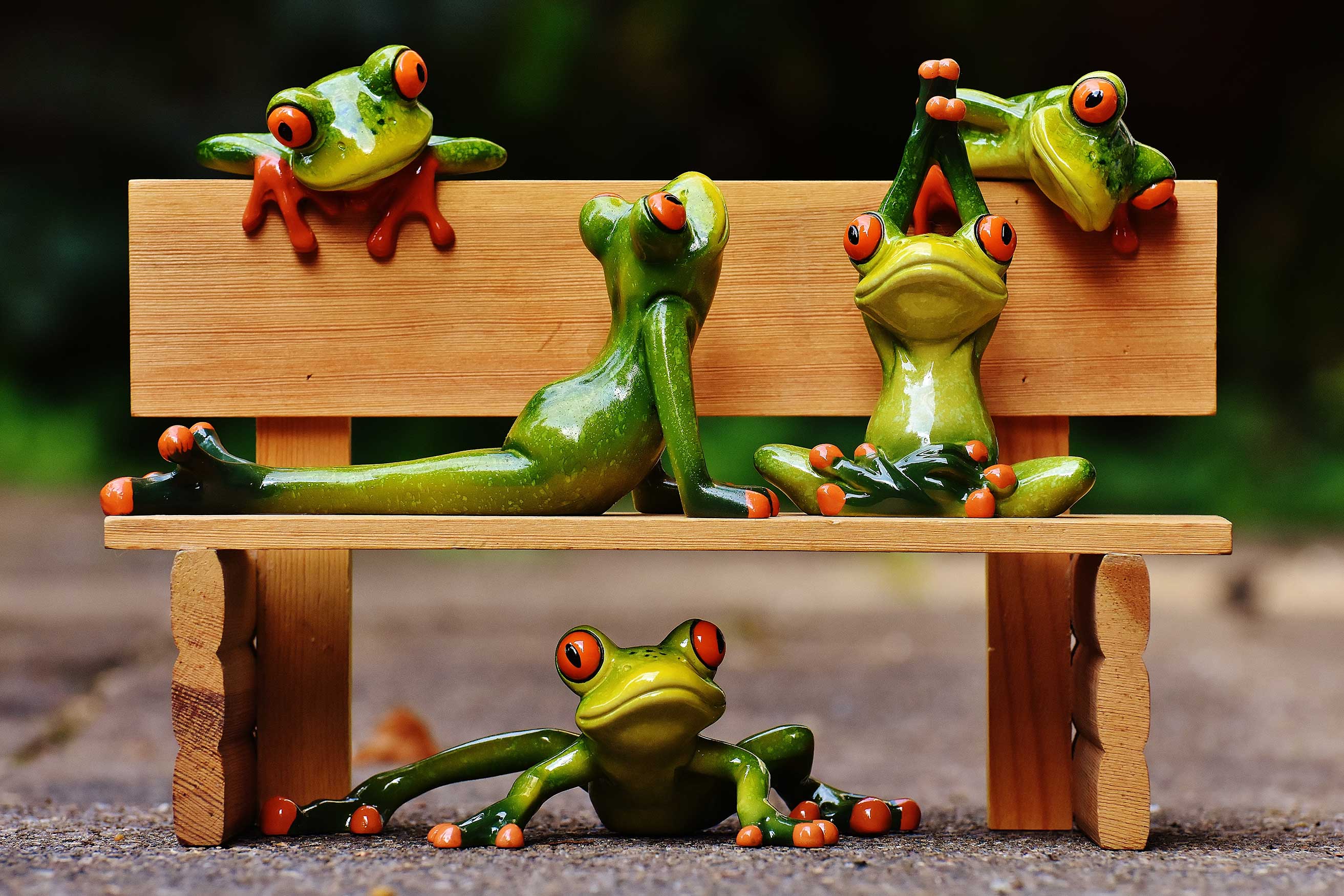 frogs doing yoga