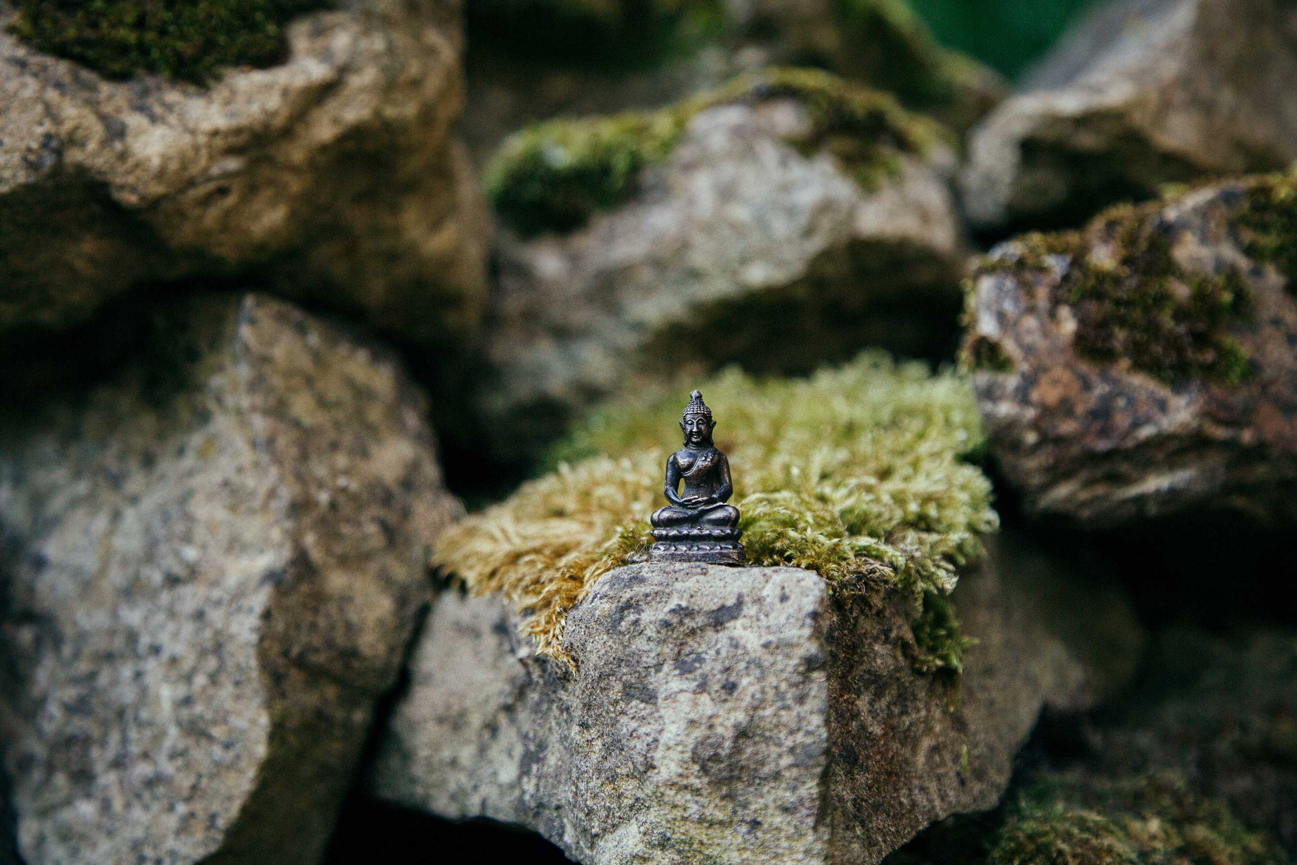 little Buddha on a rock