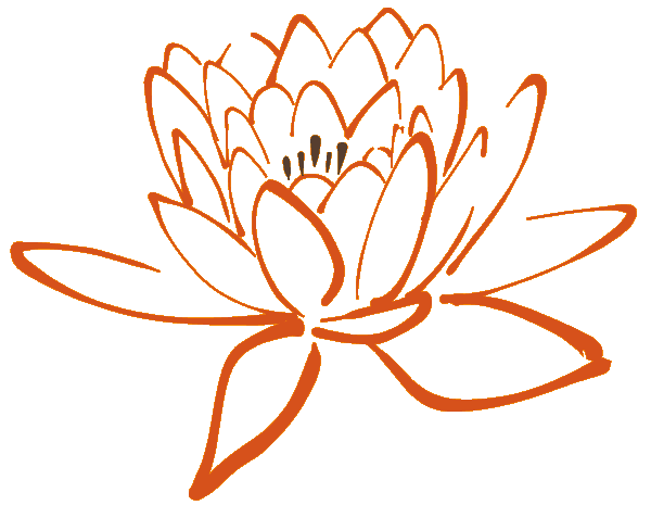 lotus flower